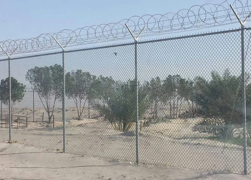 شبوك مزارع جدة